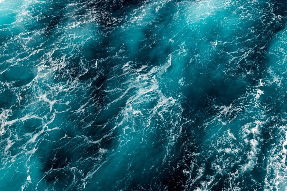 A dive into the ocean inspired ingredients