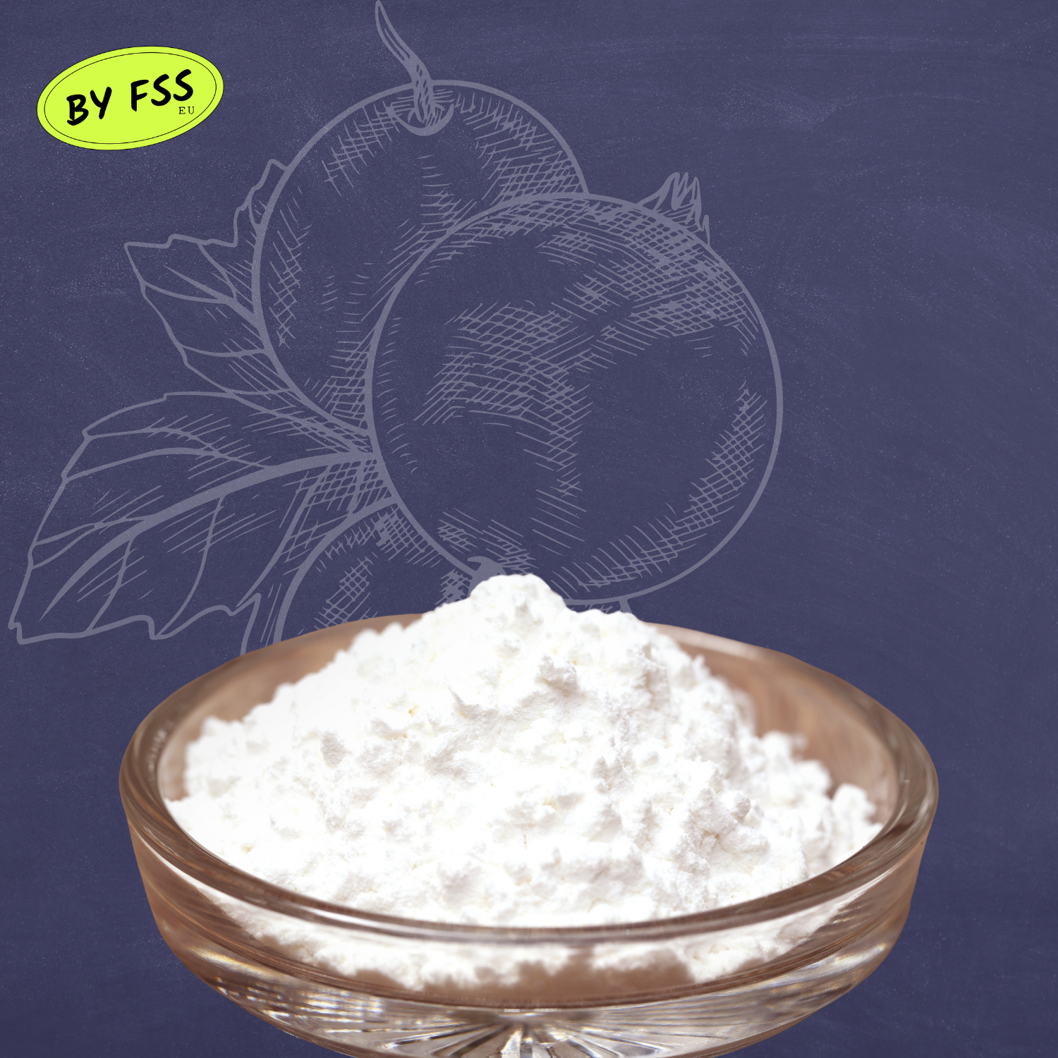 PhytoCide Black Currant Powder