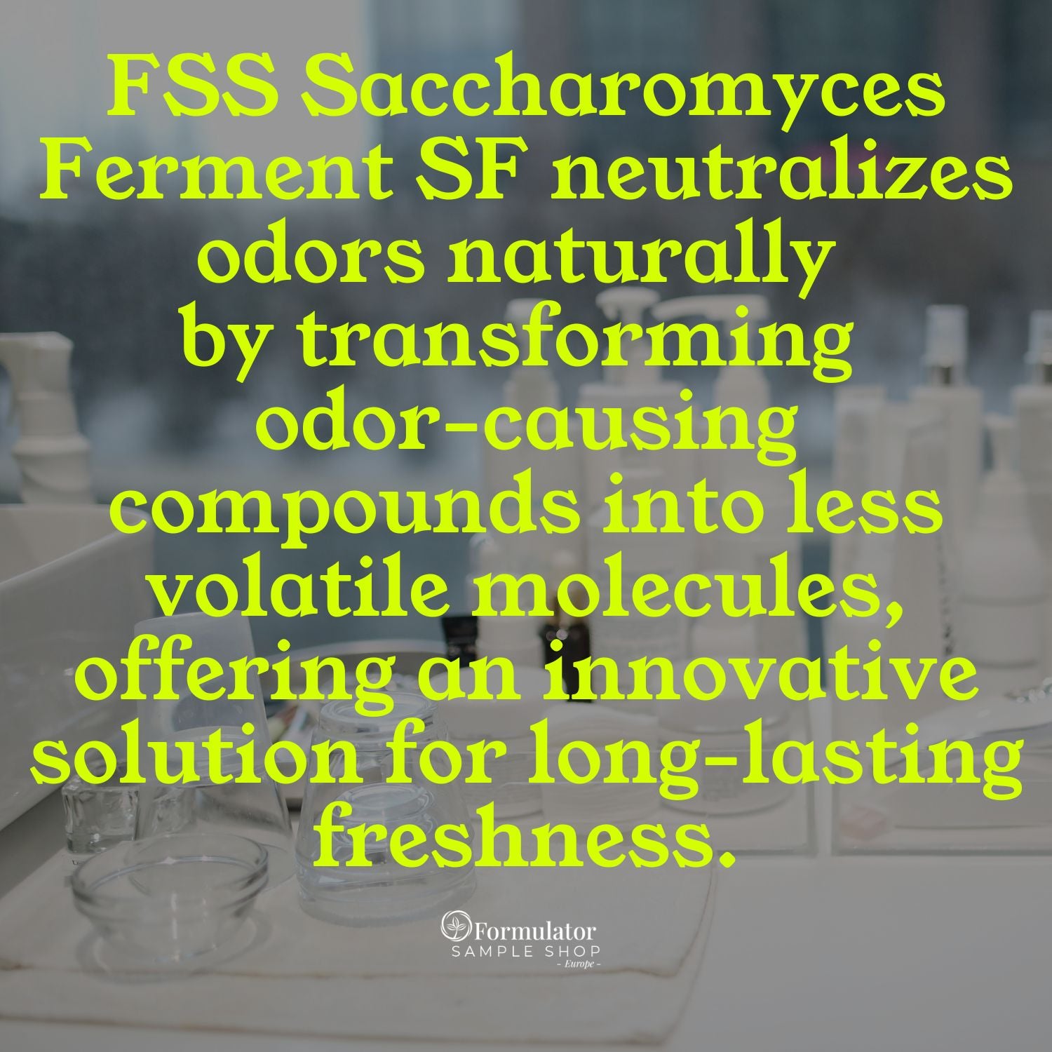 FSS Saccharomyces Ferment SF