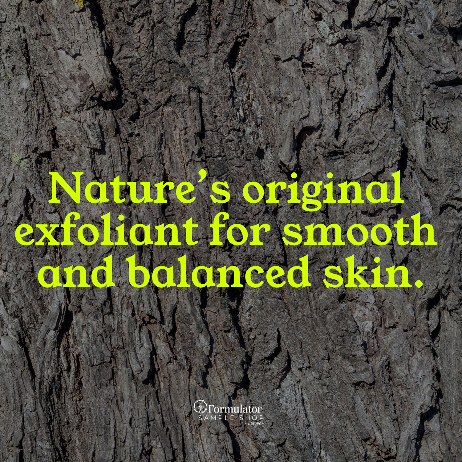 FSS White Willow Bark Extract Powder