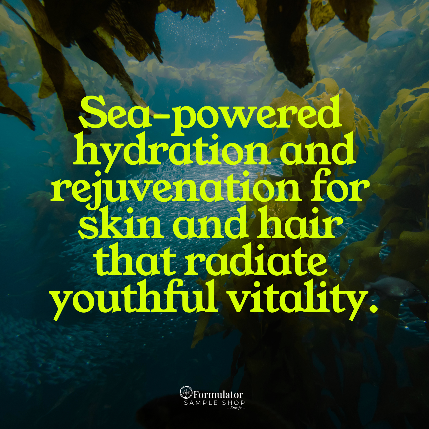 FSS Algae Extract G PF