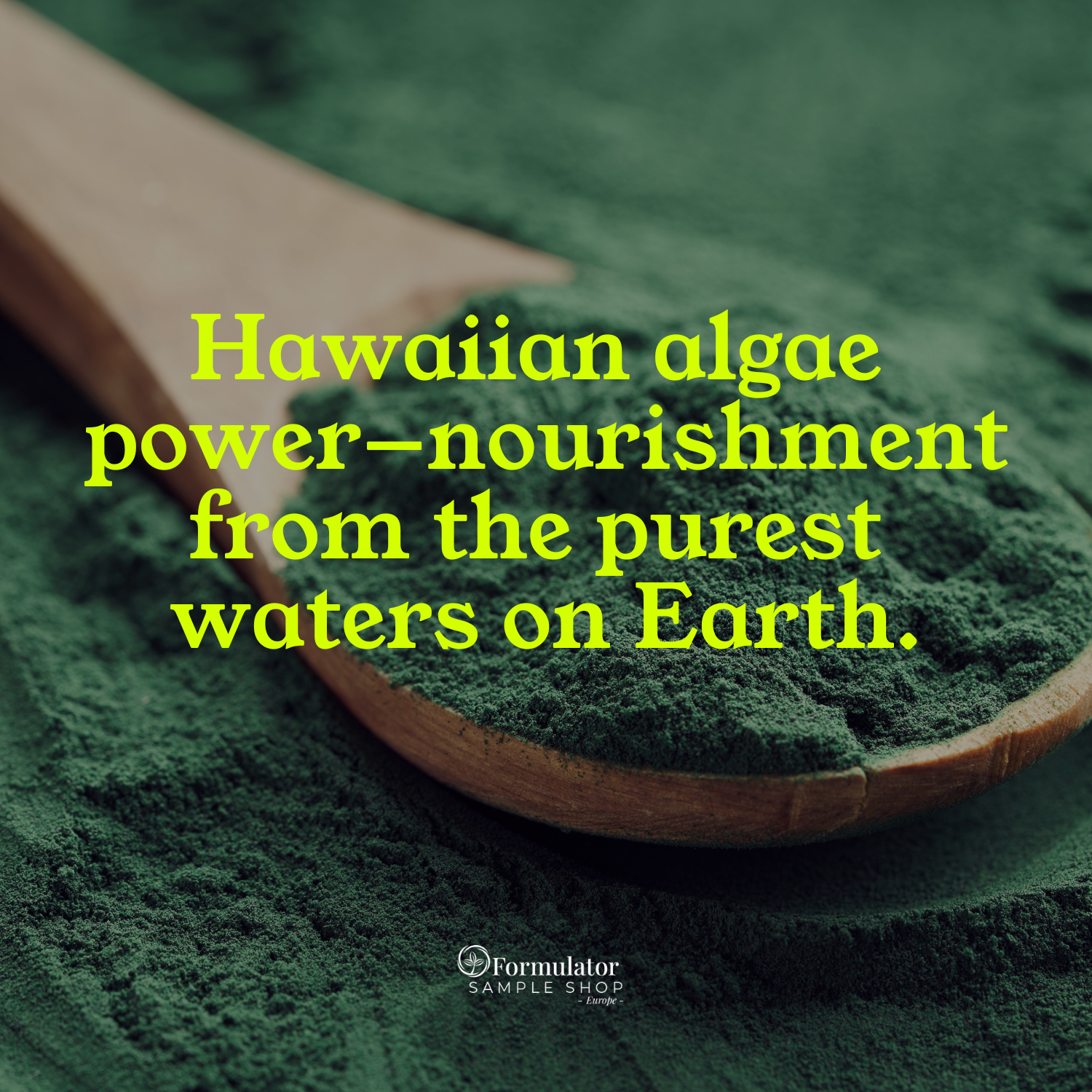 FSS Algae Powder