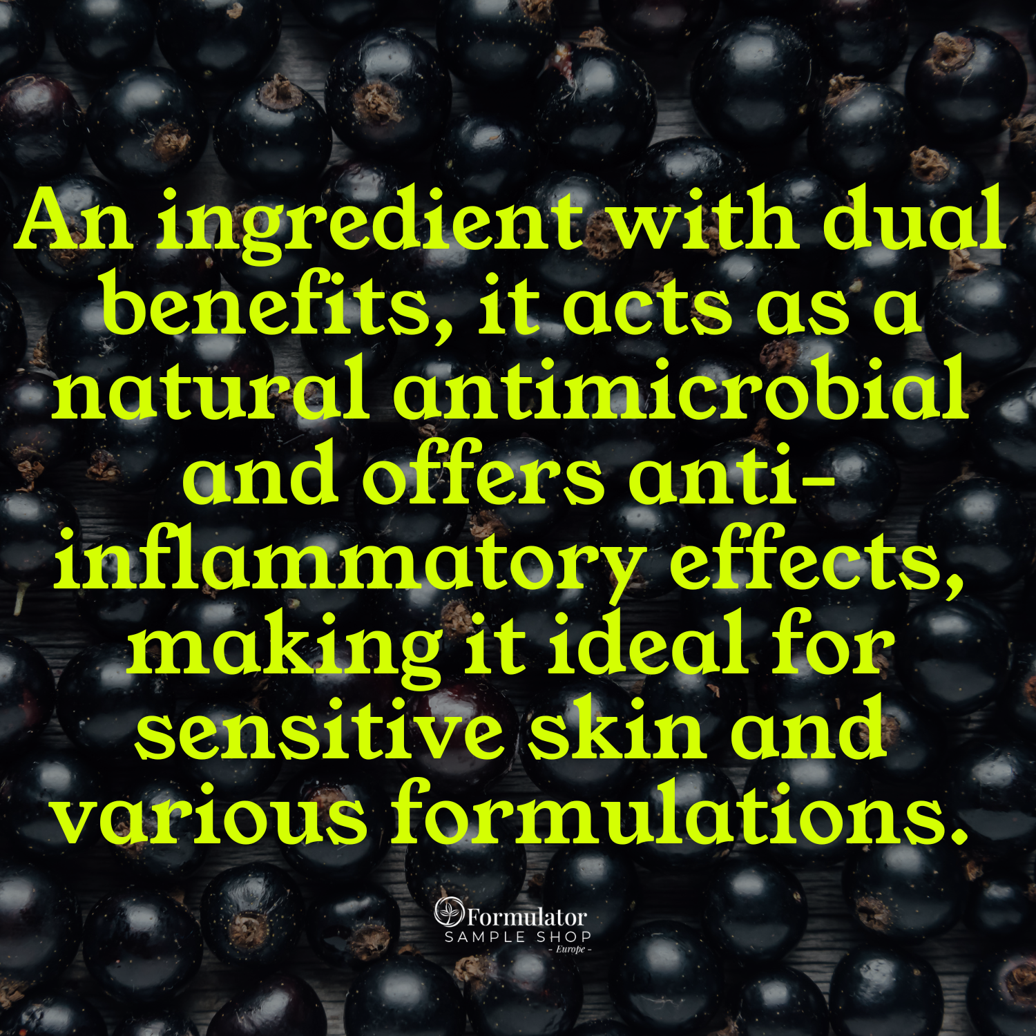 PhytoCide Black Currant Powder