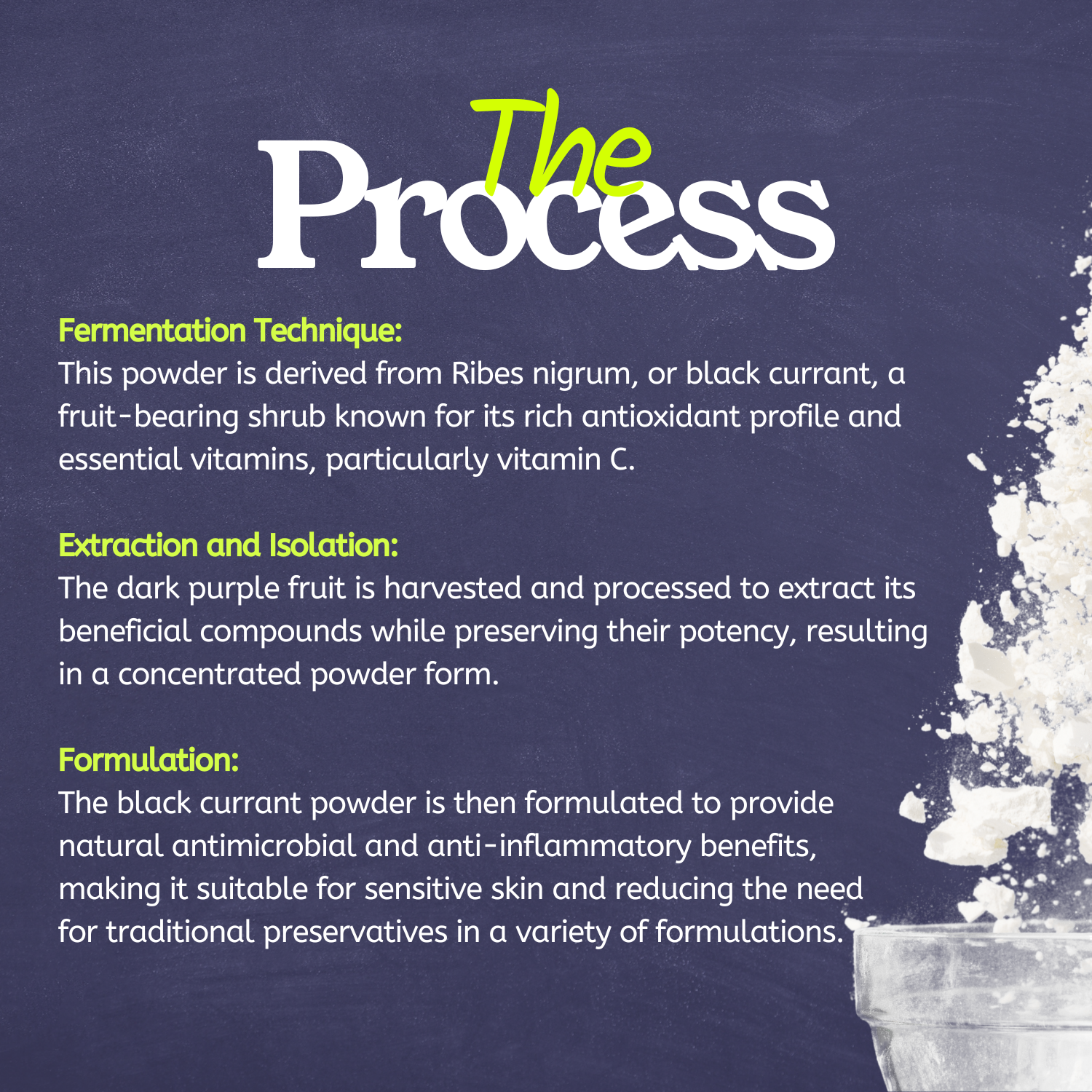 PhytoCide Black Currant Powder