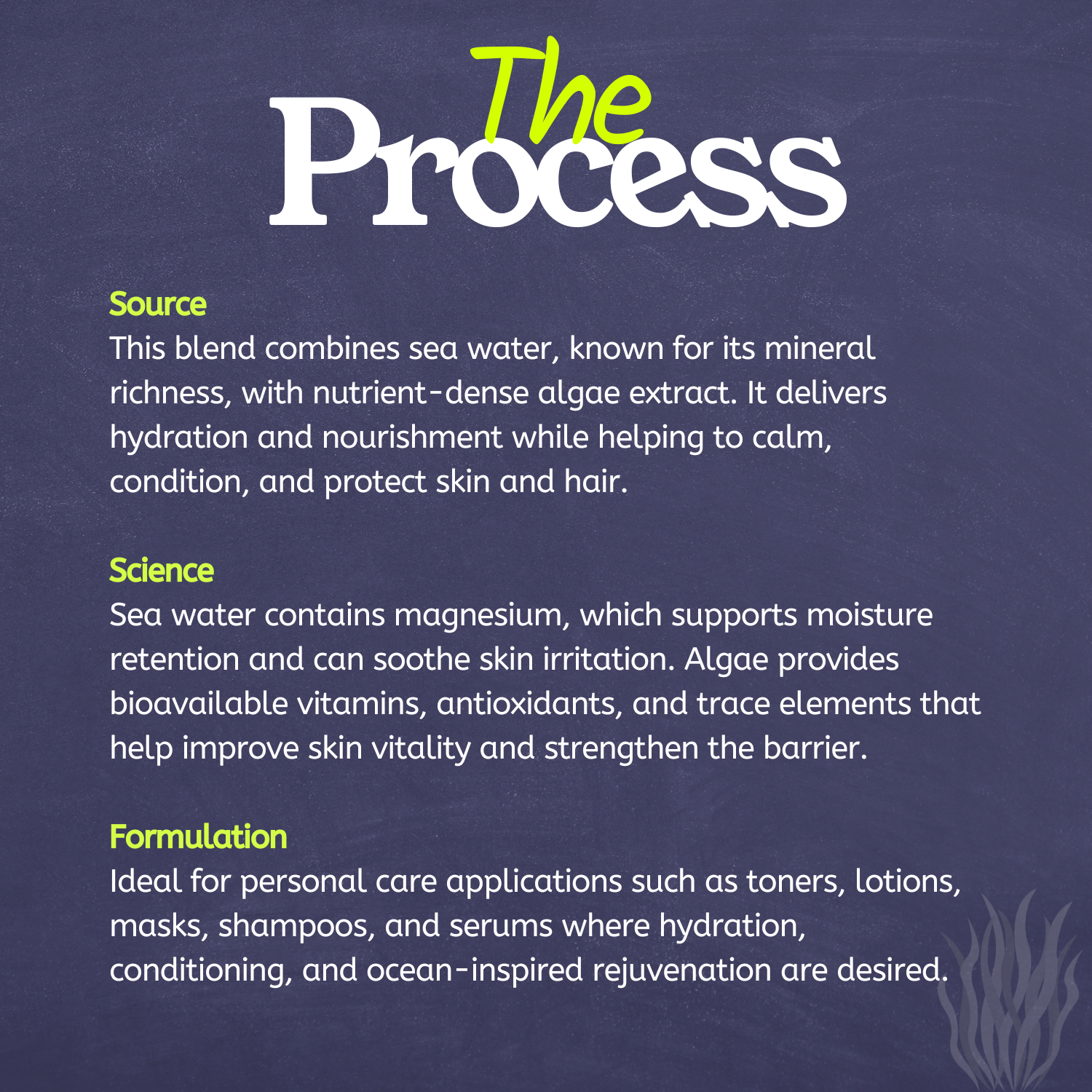 FSS Algae & Sea Water Blend G