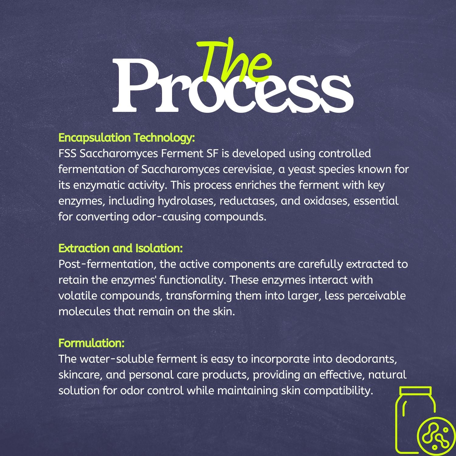 FSS Saccharomyces Ferment SF