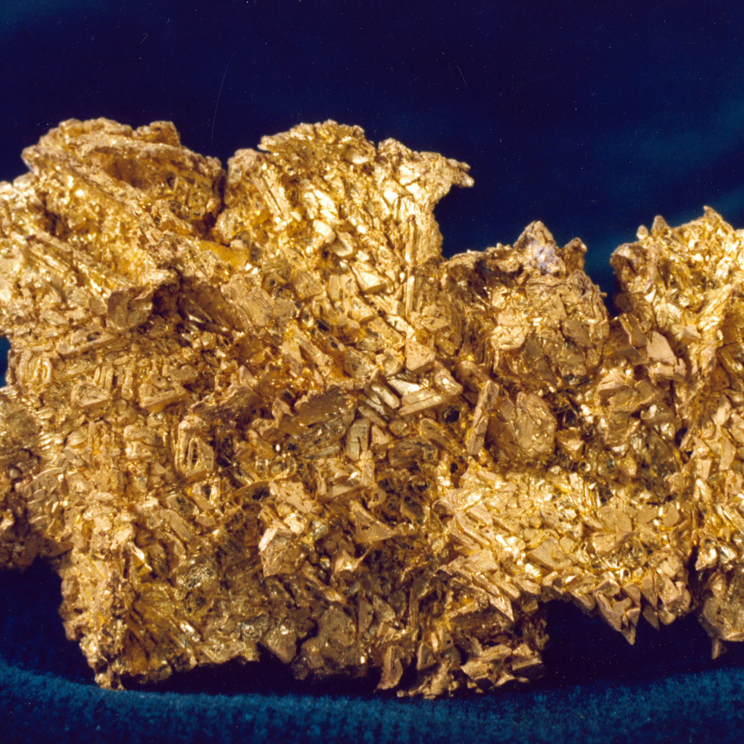 FSS Bio-Chelate Gold EUR PF