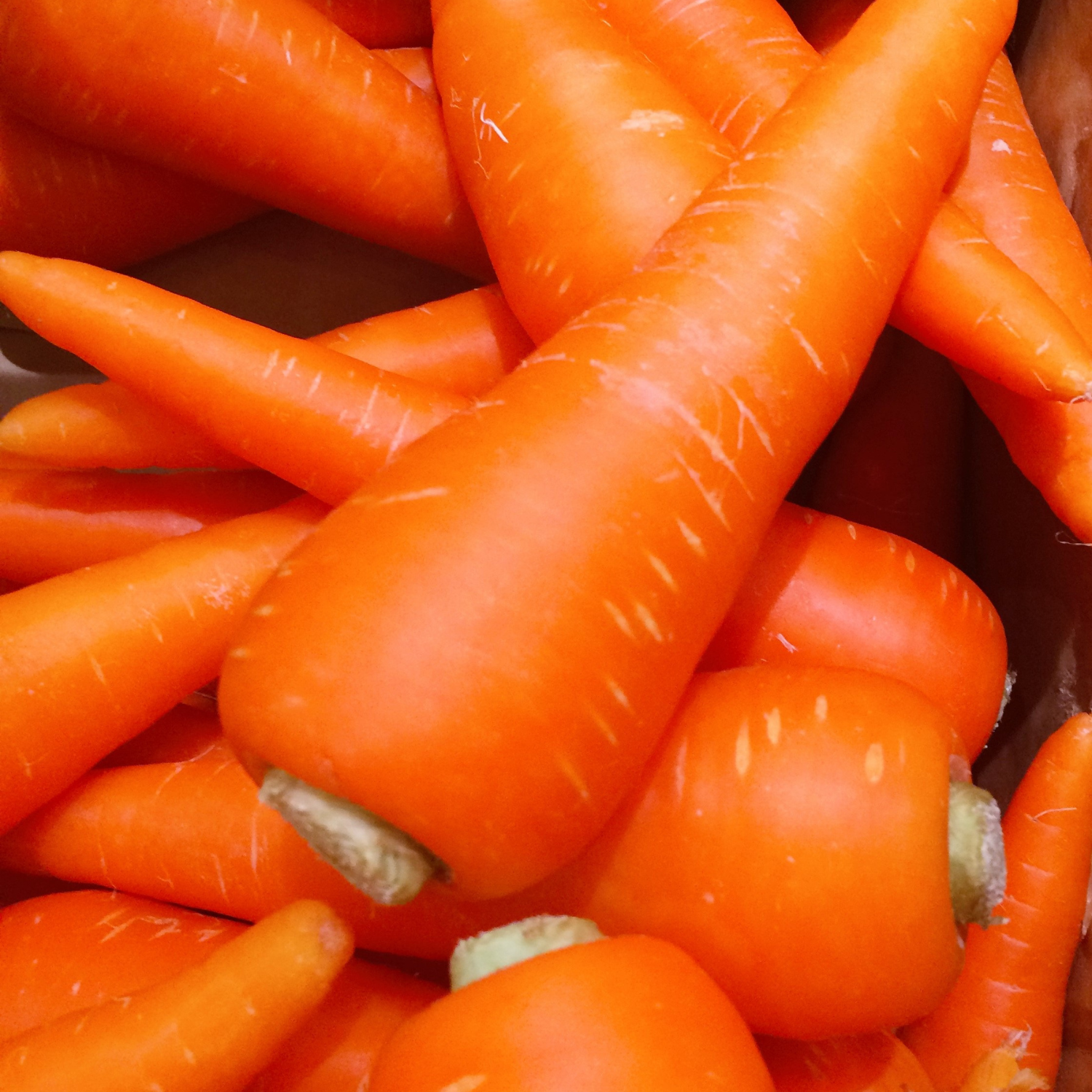 FSS Carrot Resin