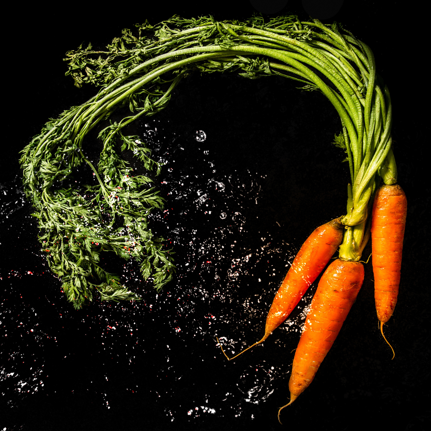 FSS Carrot Resin