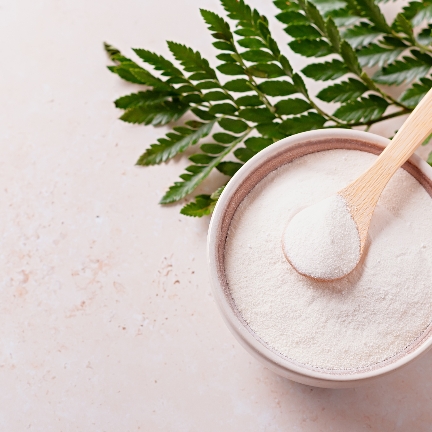 FSS Collagen Hydrolysate SD