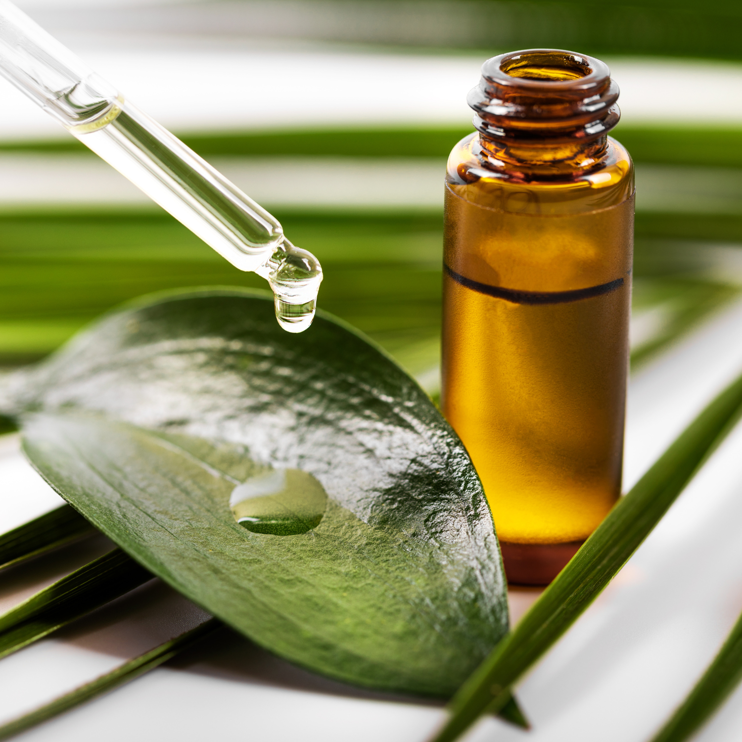 FSS Green Tea Extract SFO