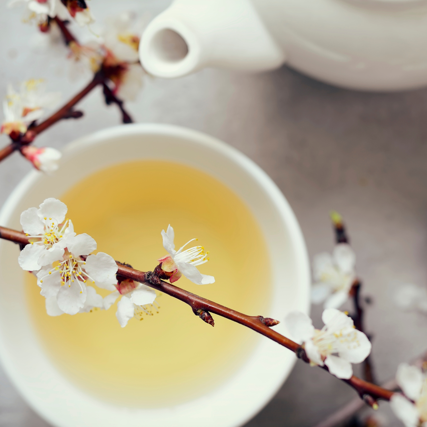 FSS White Tea Extract PF