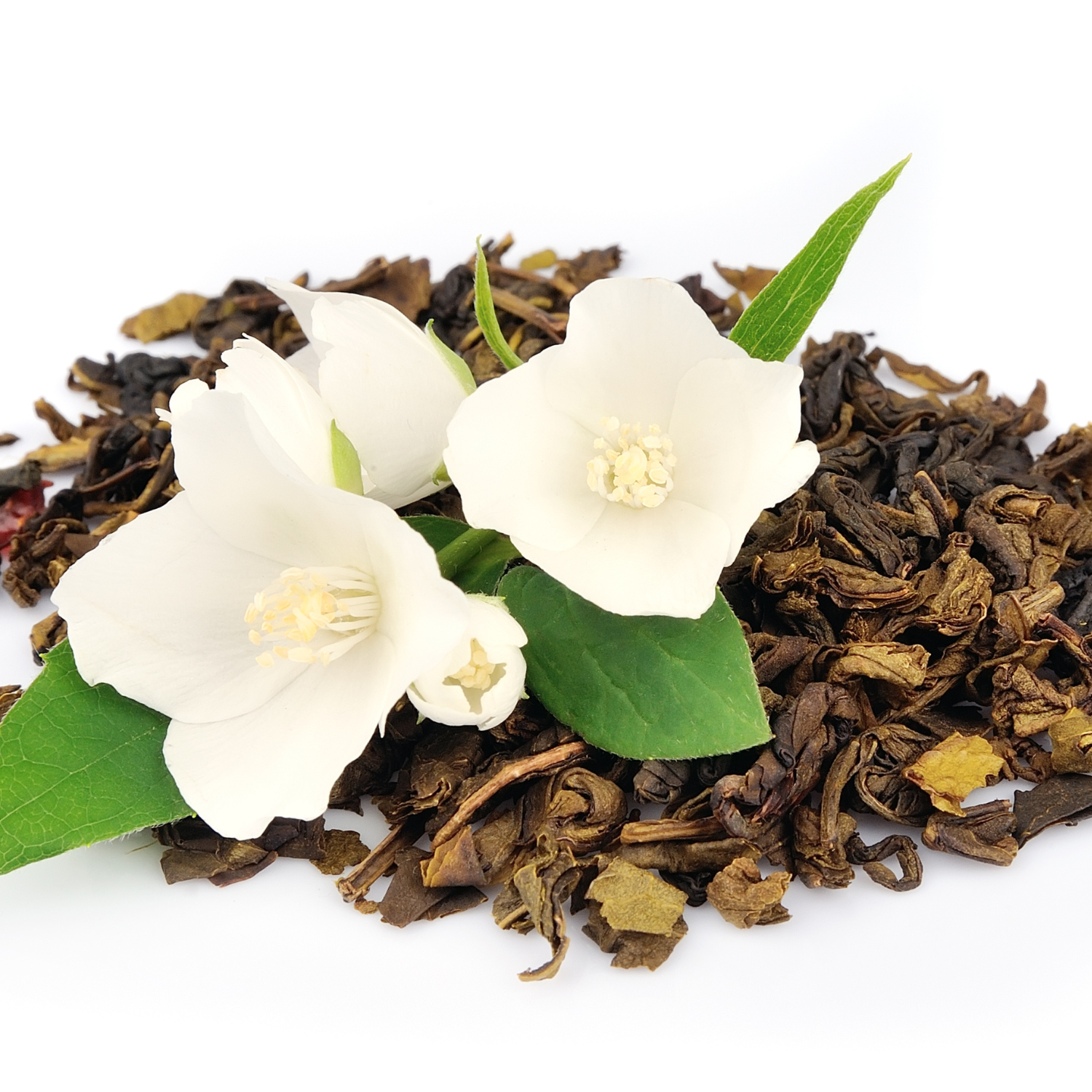 FSS White Tea Extract PF