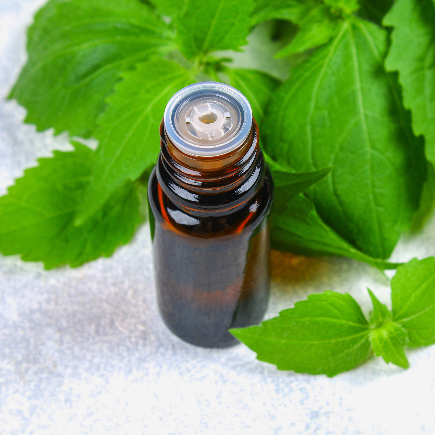 FSS Nettle Extract OS