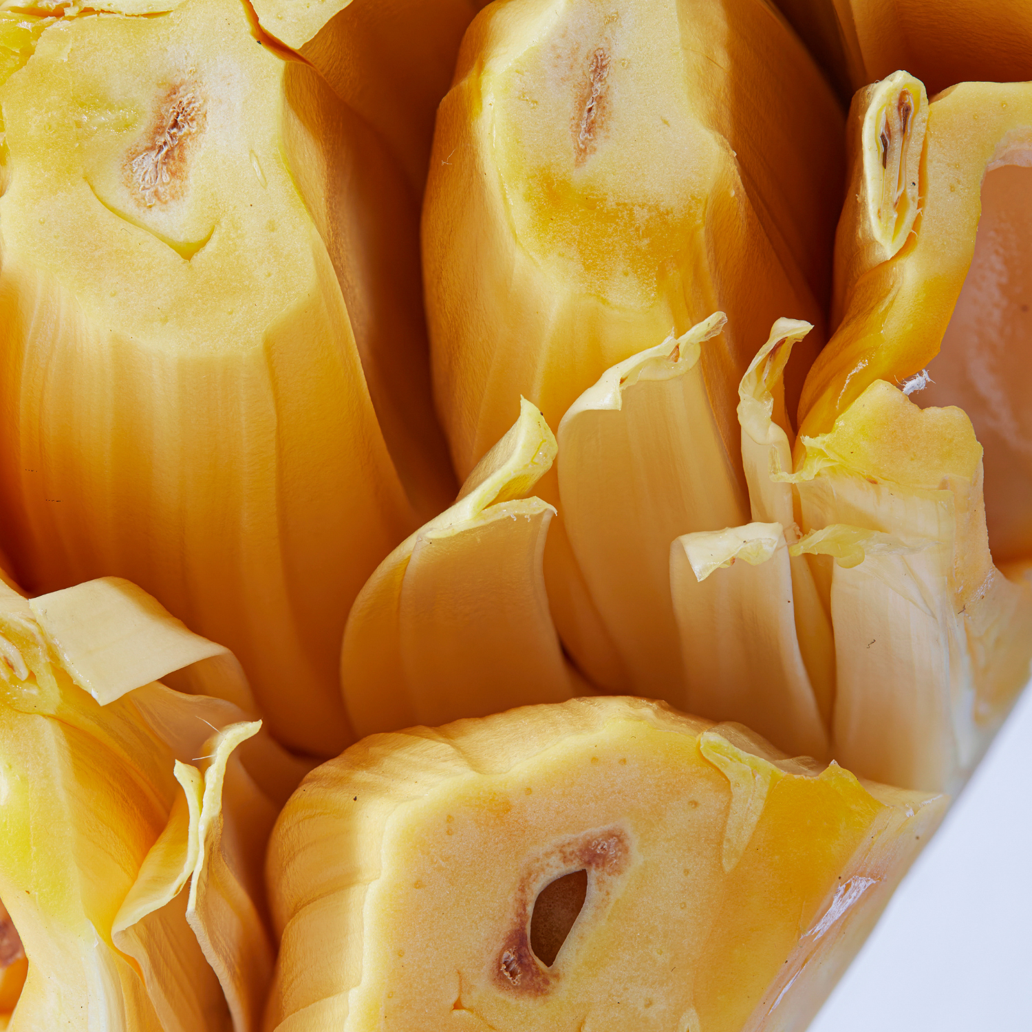 FSS Jackfruit Extract PF