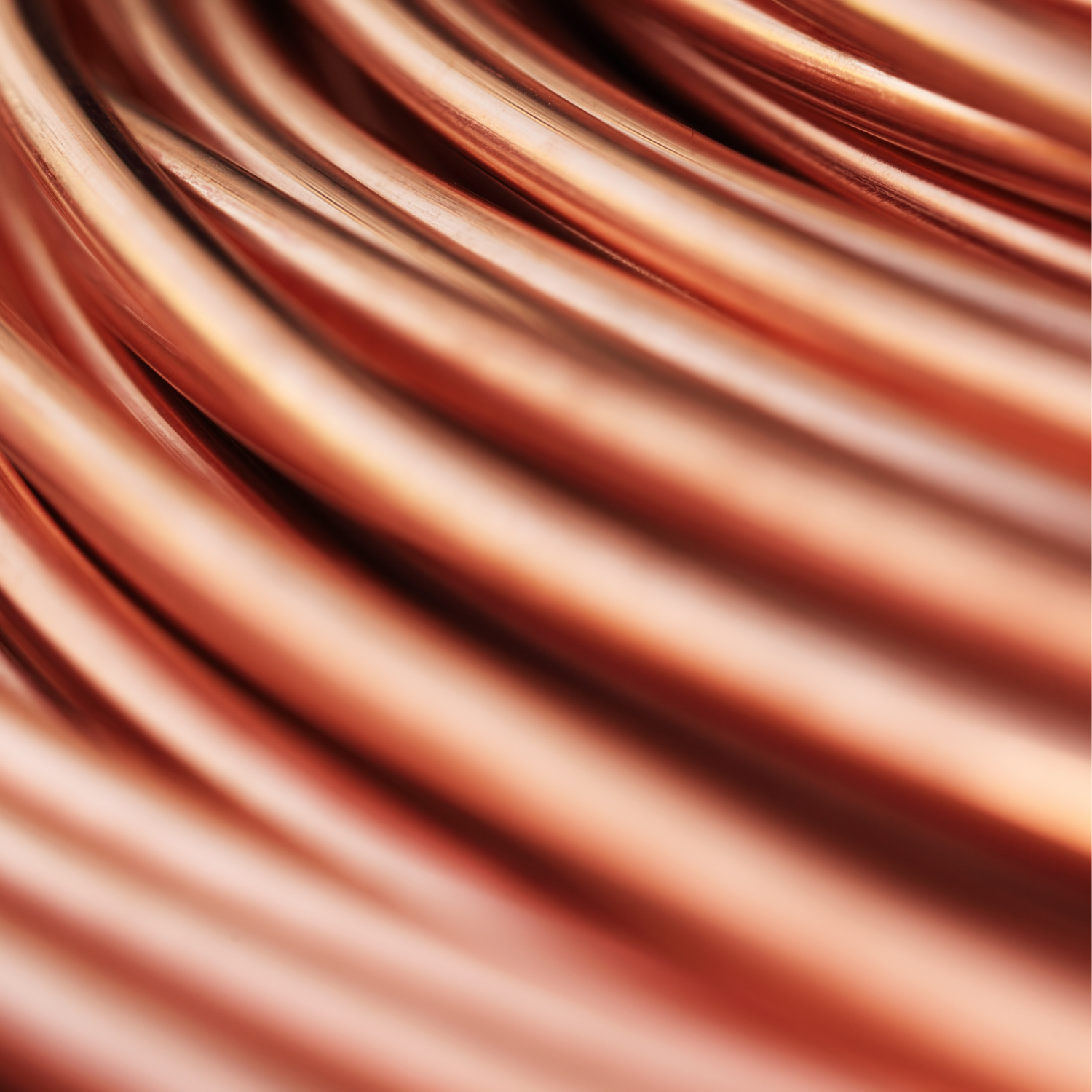 FSS Bio-Chelate Copper BG PET