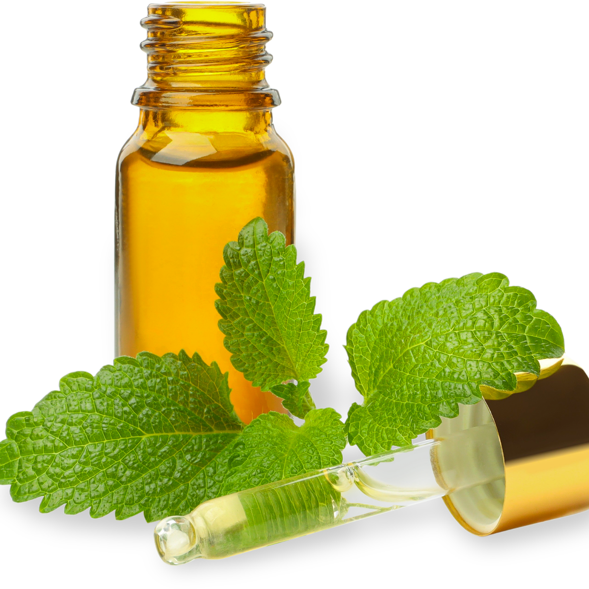 FSS Ginger Mint Extract Cooling OS