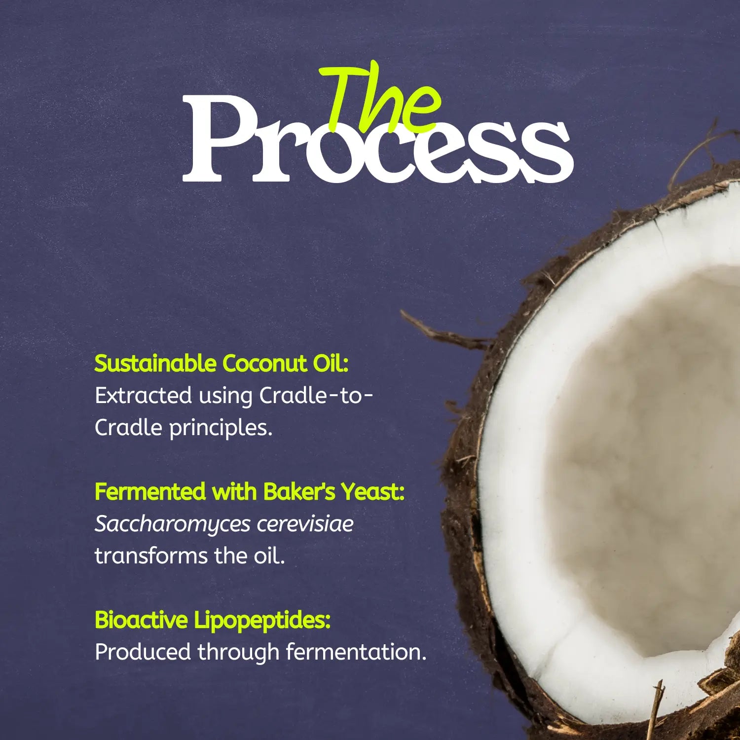 FortiCulture Coconut