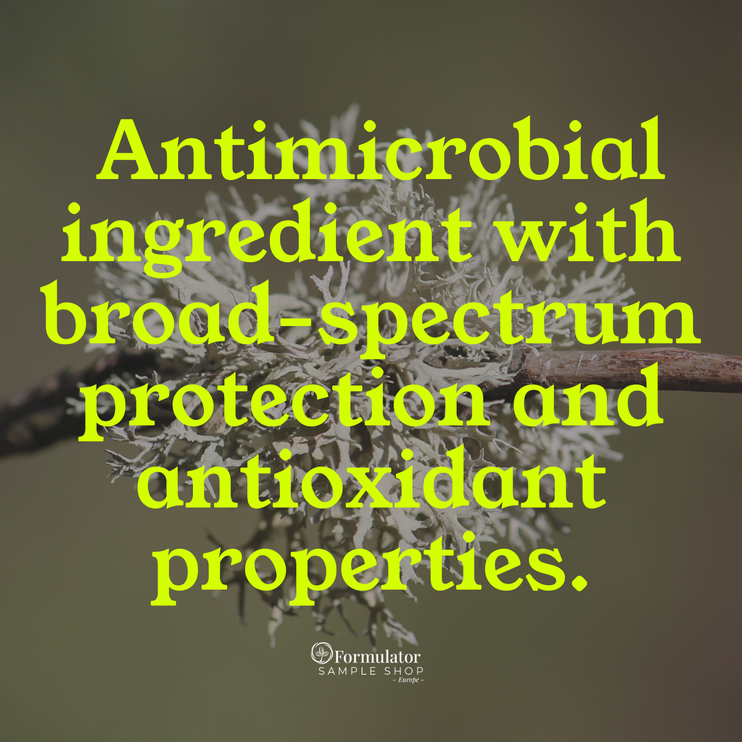 PhytoCide Lichen