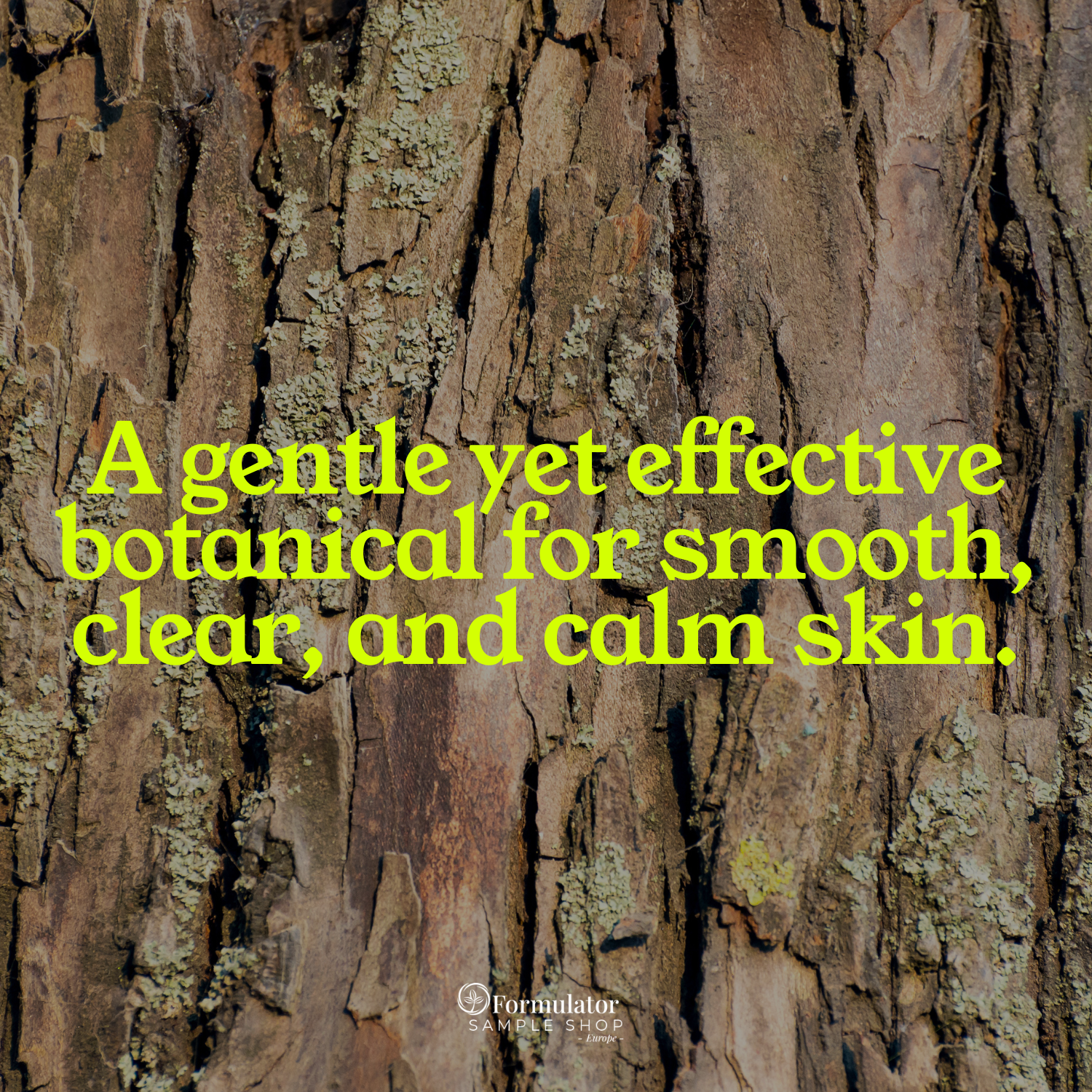 FSS Willow Bark Extract
