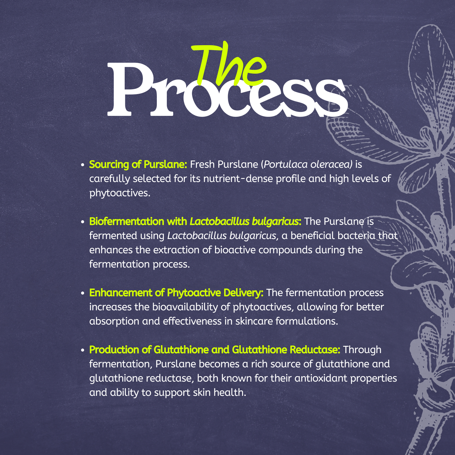 glutathione reductase ppt Peroxidase (GPx) BILIRUBIN METABOLISM IN THE NEWBORN
