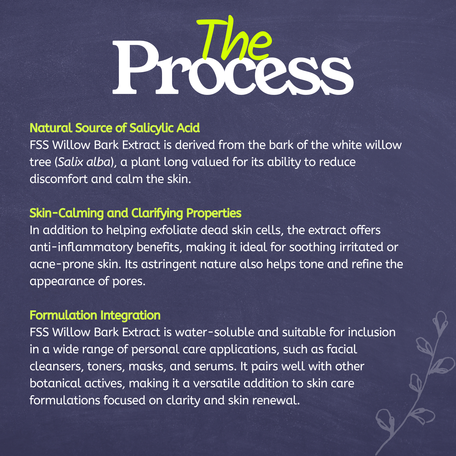 FSS Willow Bark Extract
