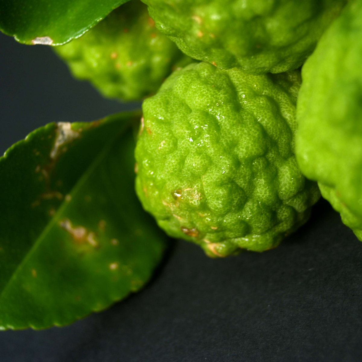 FSS Bergamot Extract PF – Soothing & Refreshing Citrus Botanical for ...
