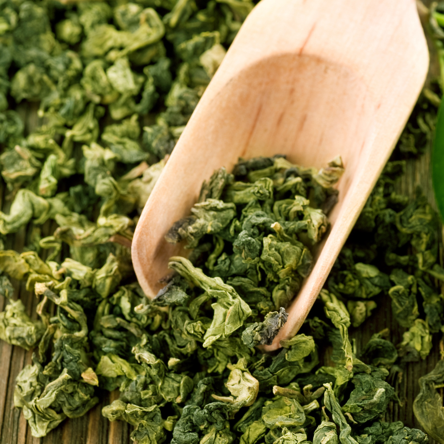 FSS Green Tea Extract CCT