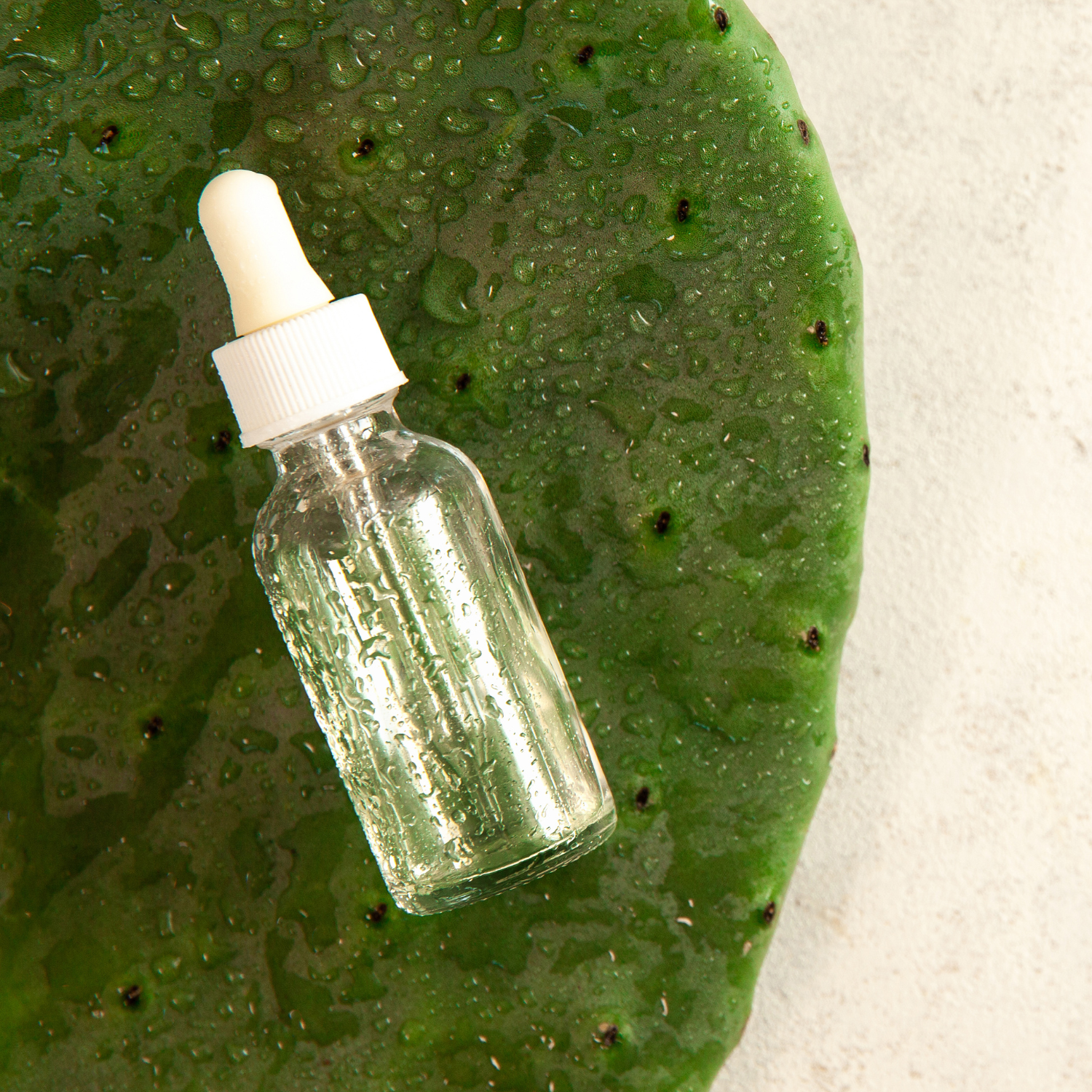 FSS Cactus Water SF