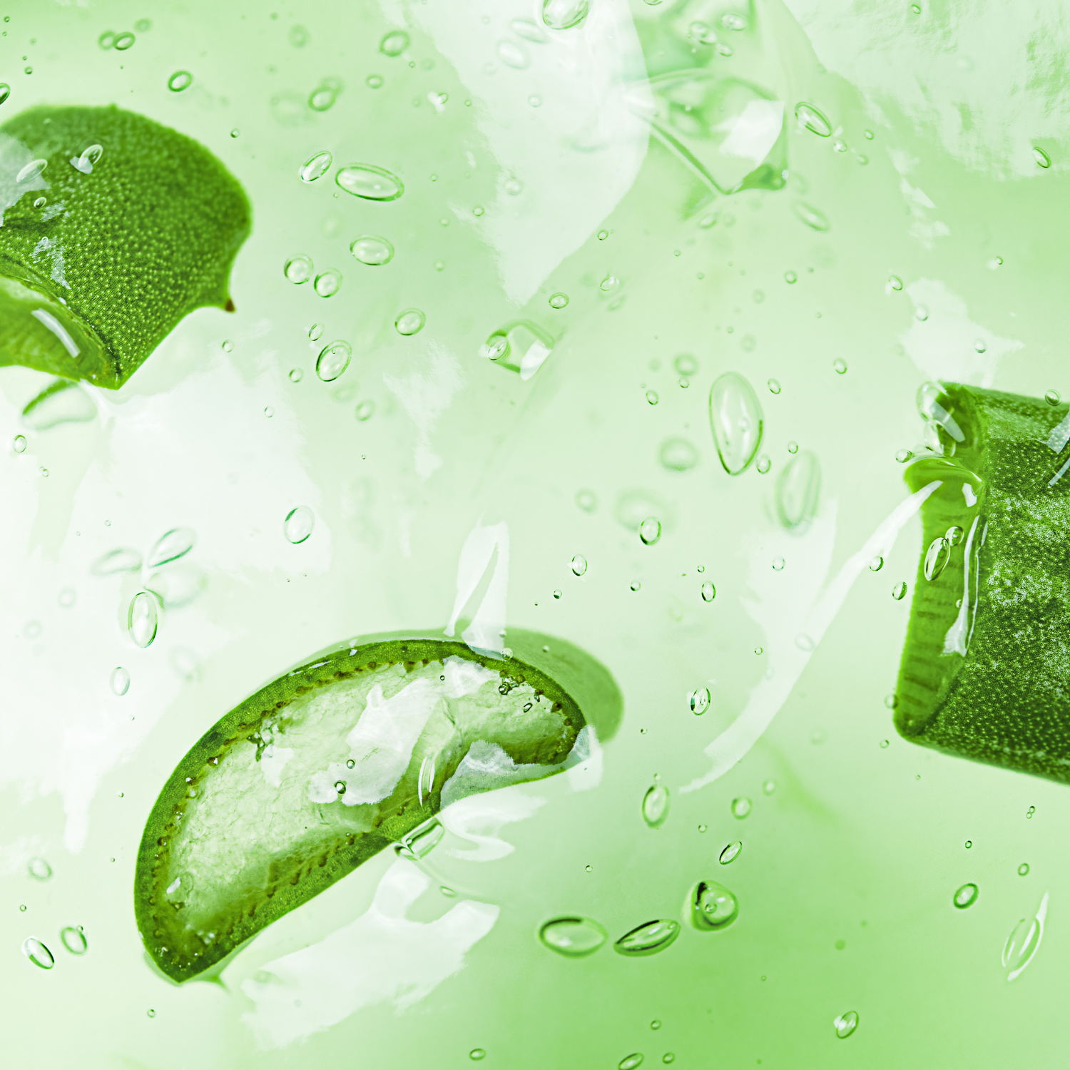 FSS Aloe Extract G