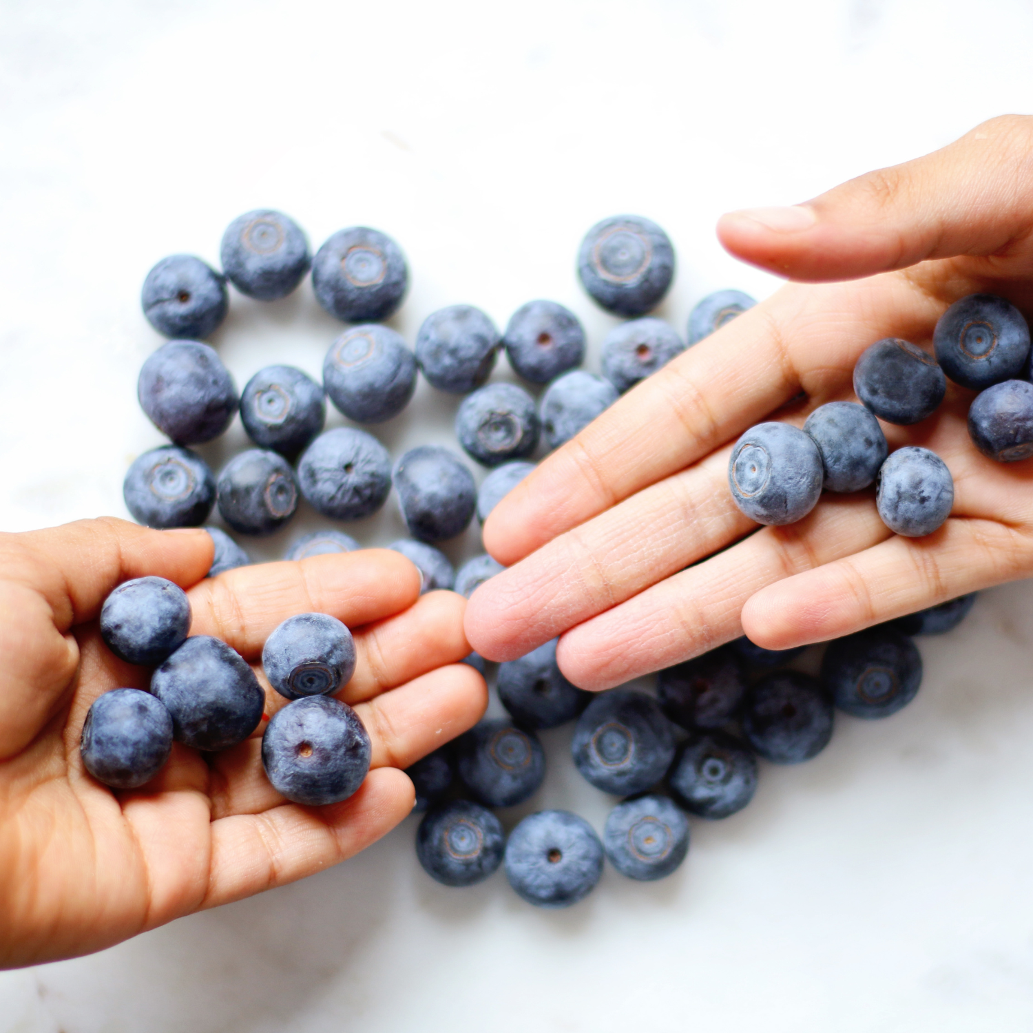 FSS Bilberry Extract G 50