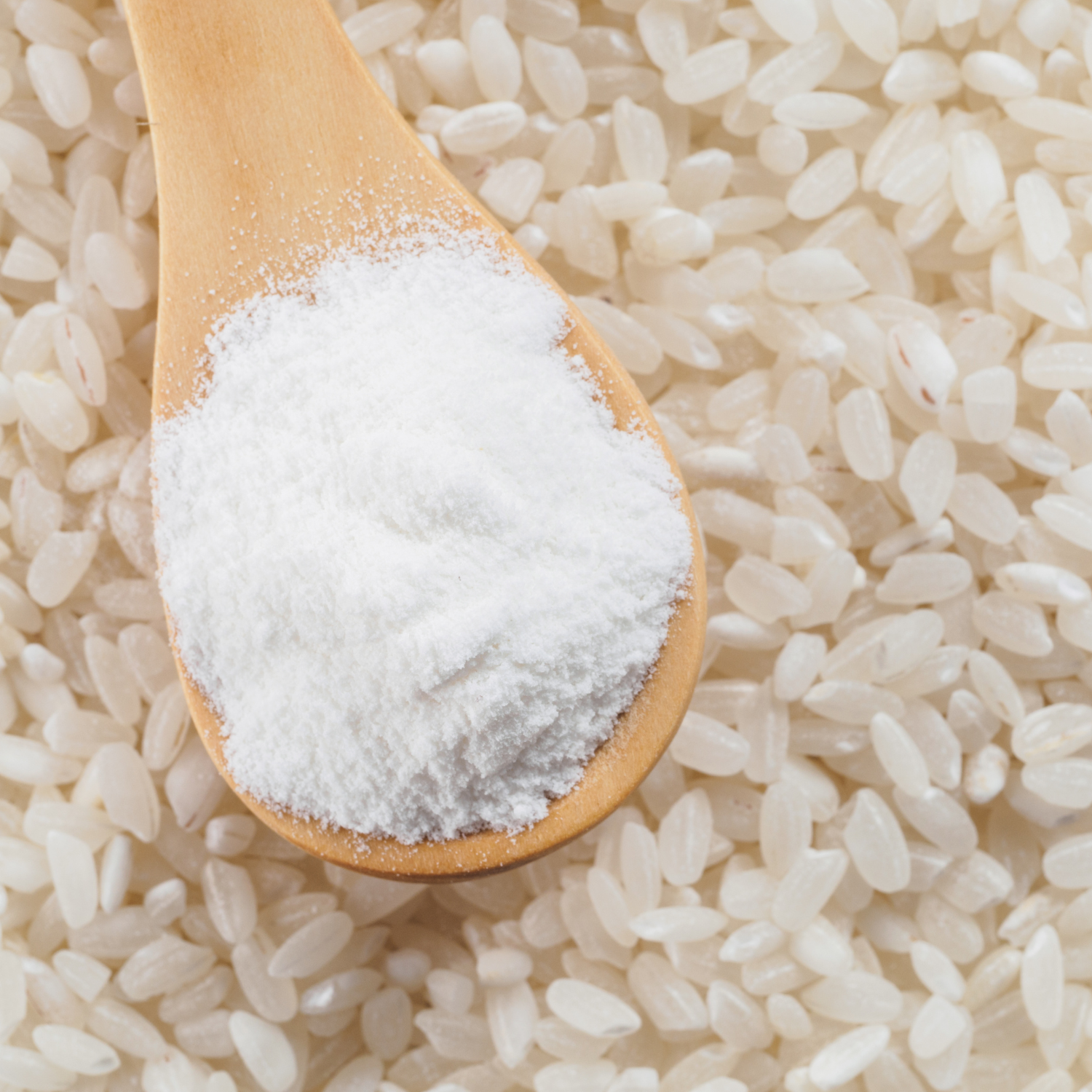 FSS Rice Starch Powder – Natural Thickener & Absorbent for Smooth ...