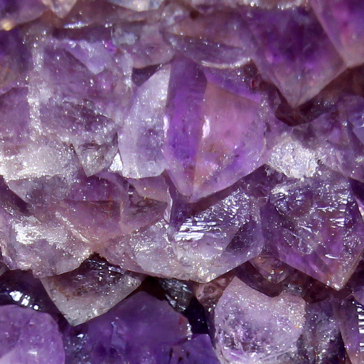 FSS Amethyst Extract PF