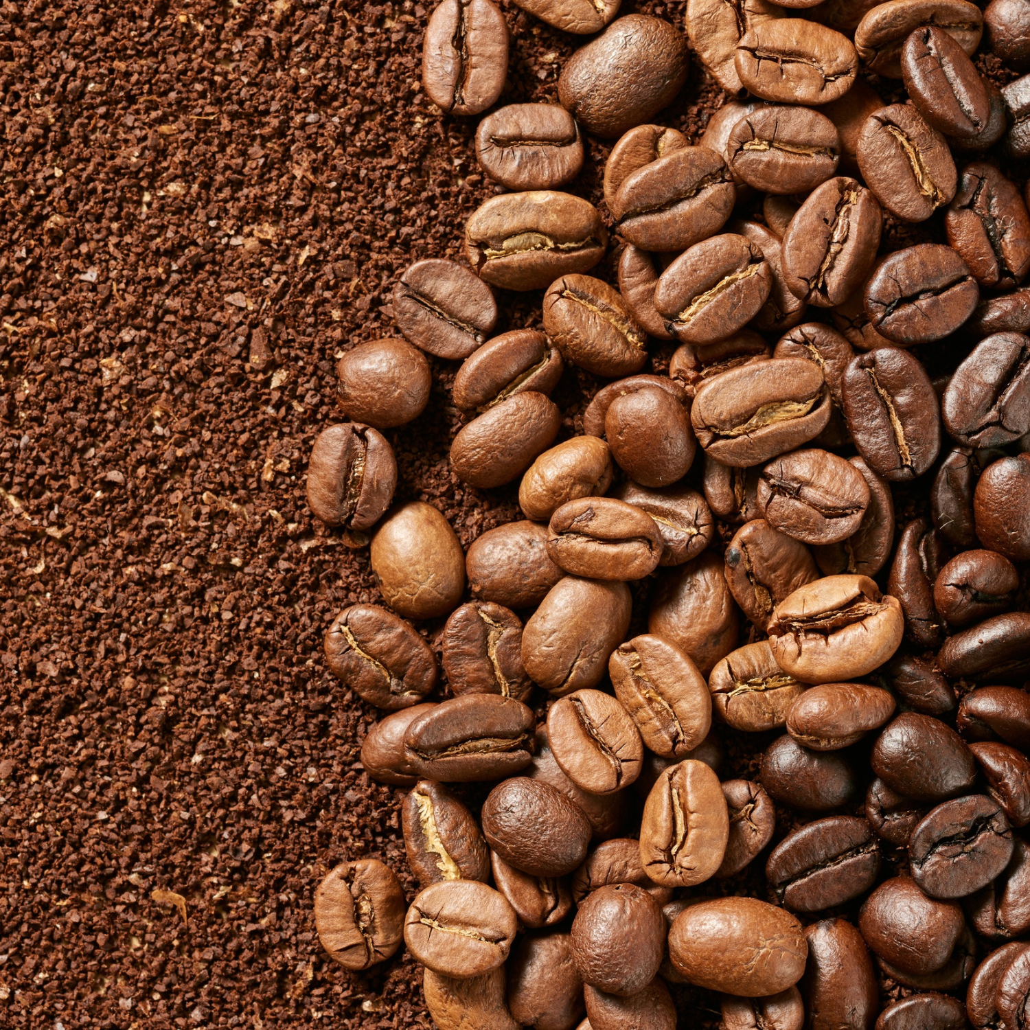 FSS Green Coffee Bean Powder