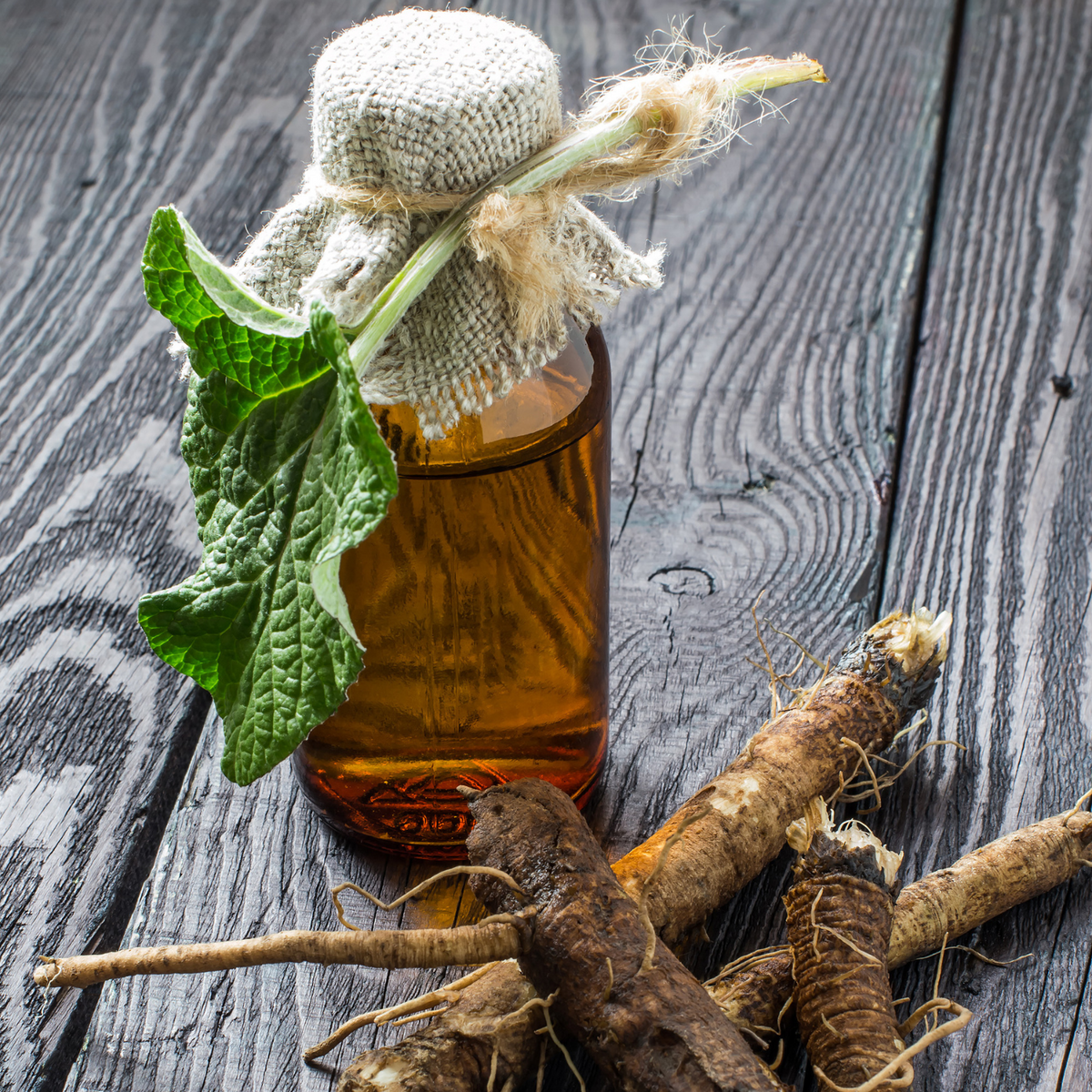 FSS Burdock Root Extract G PF – Soothing, Balancing Botanical Extract ...