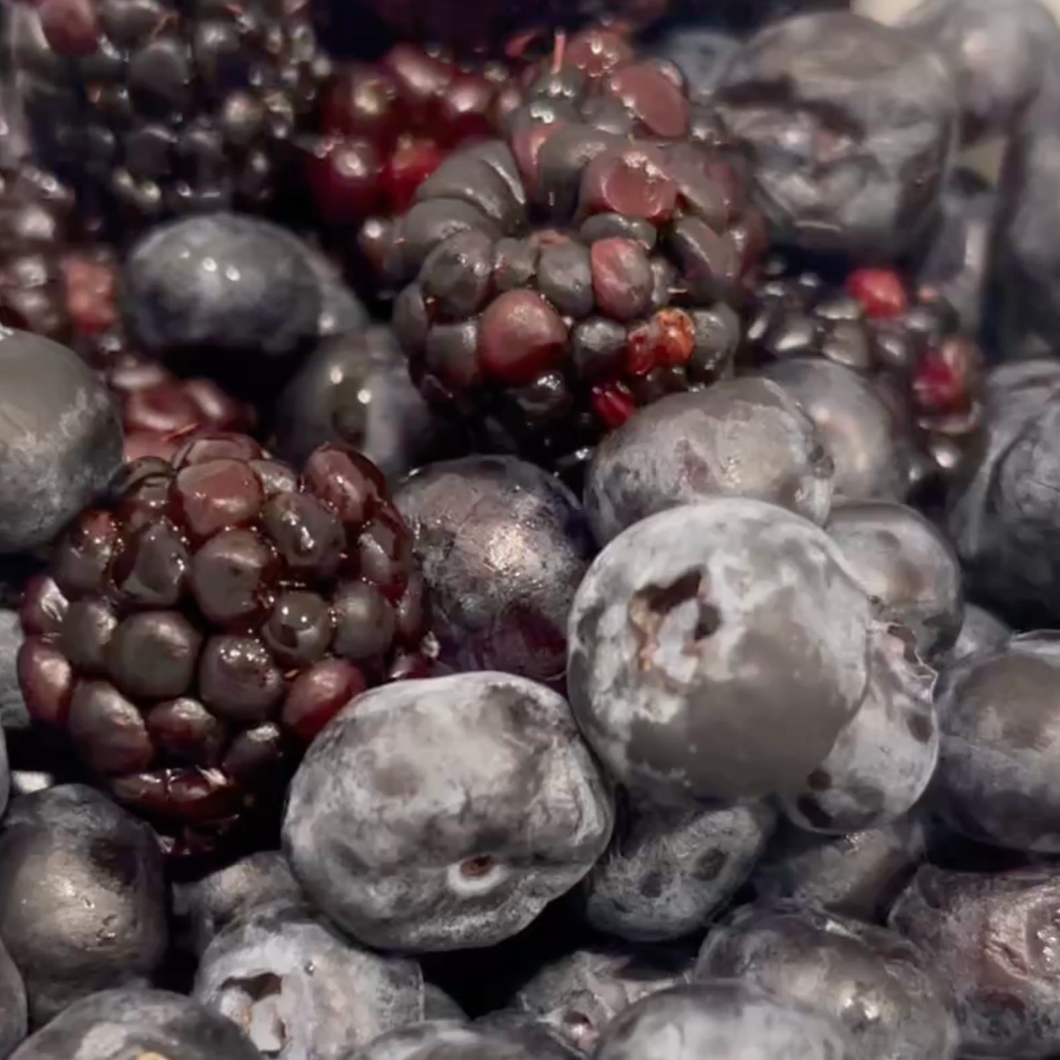 FSS Blueberry & Blackberry Blend G PF