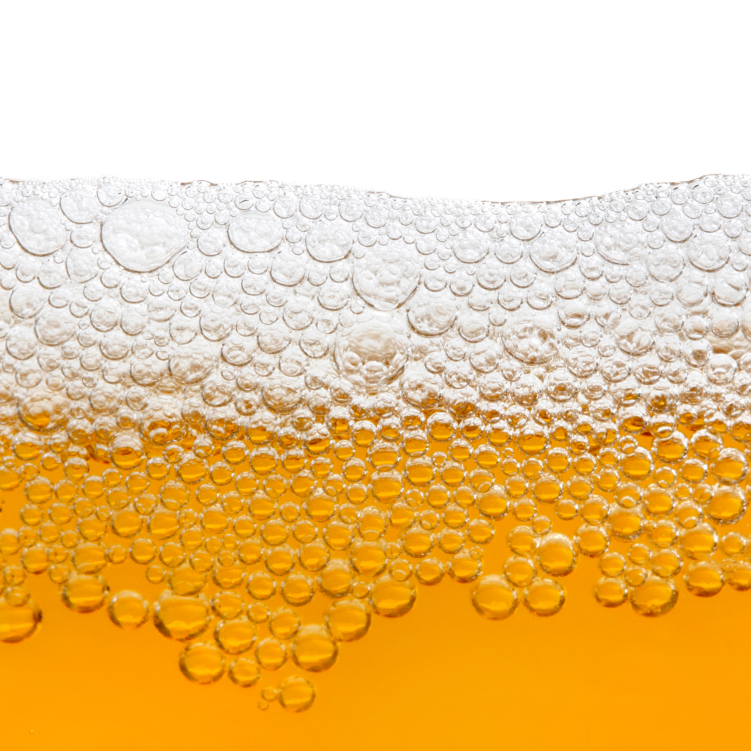 FSS Beer Extract