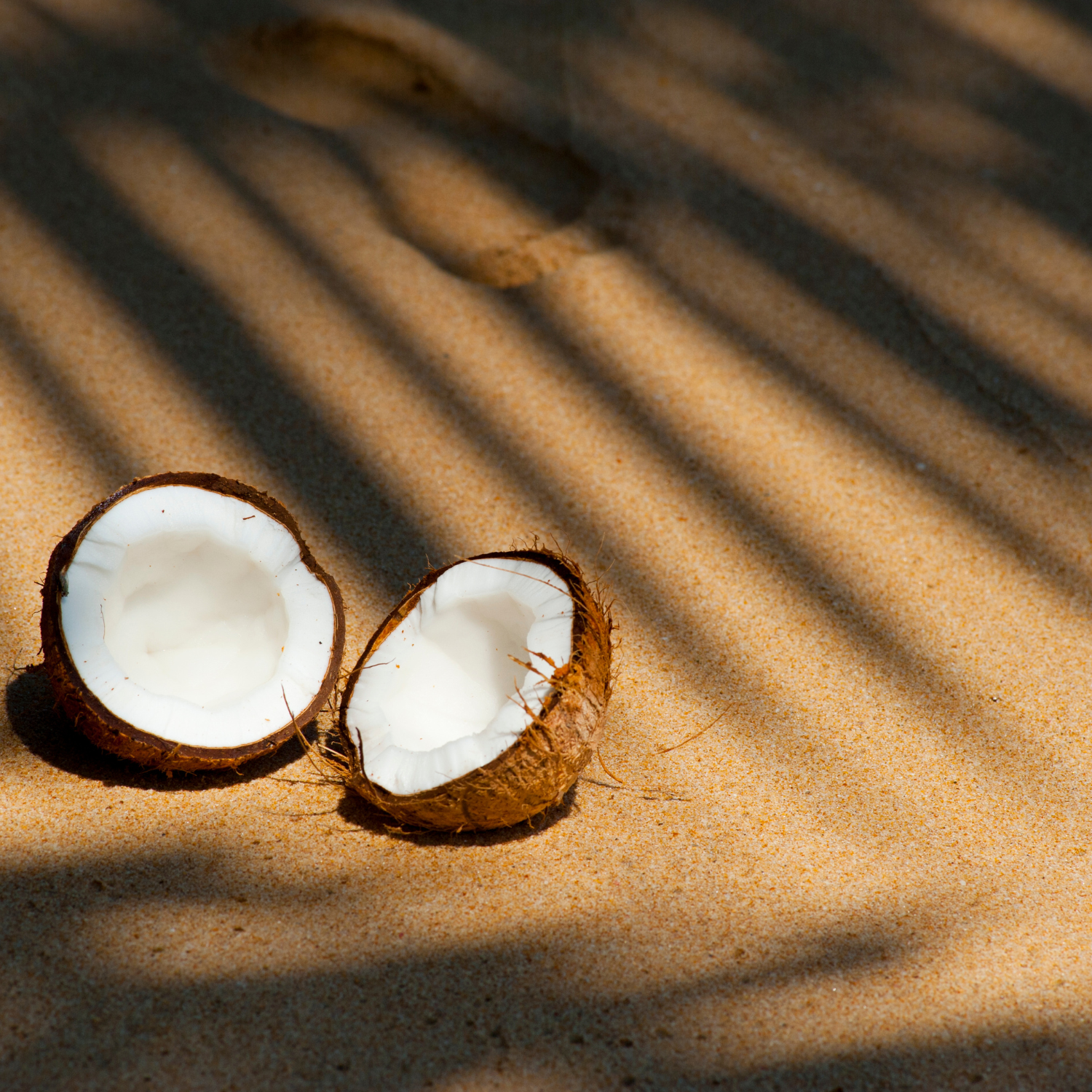 FSS Coconut Shell Exfoliate