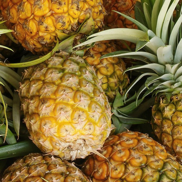 Pineapple Enzyme Oil Soluble