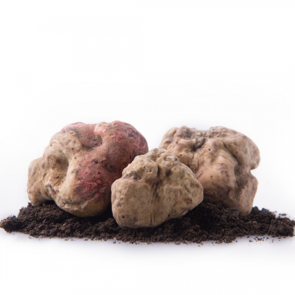 FSS White Truffle Extract PBF